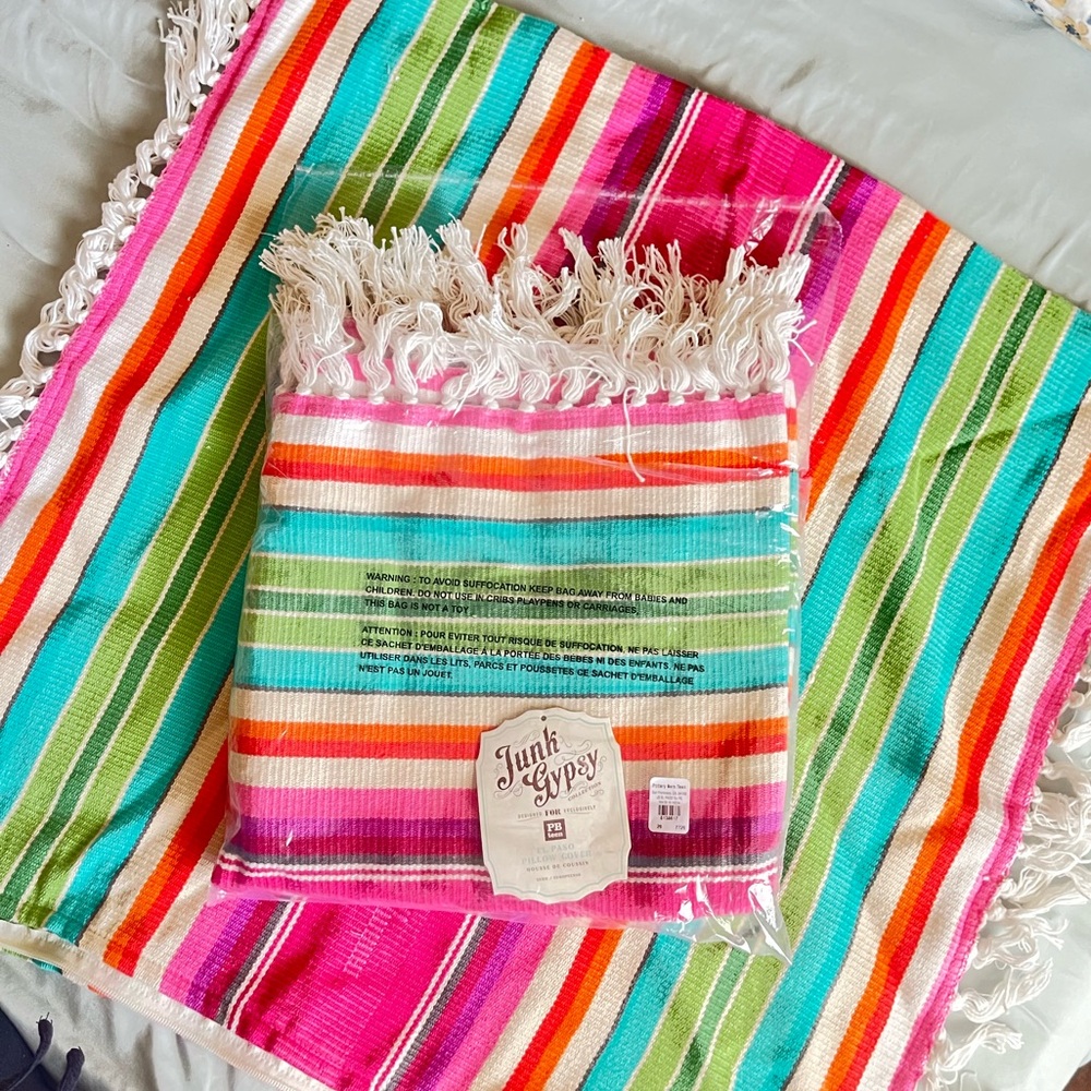 Pottery Barn Teen - Euro Pillow Covers